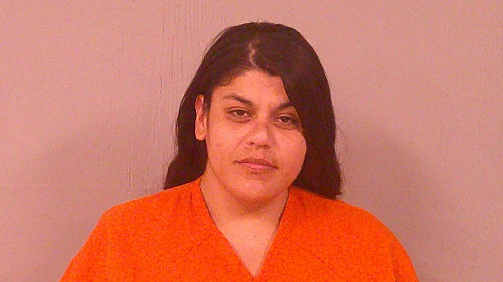 ORTIZ, RAQUEL AYALA booking photo
