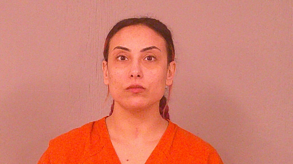 WINNIE, NATASHA ANNE arrested in Burnet County, Texas mugshot