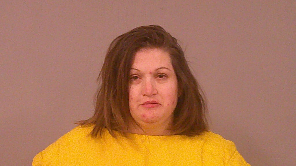 ORTIZ, SHERRI LYNN arrested in Burnet County, Texas mugshot