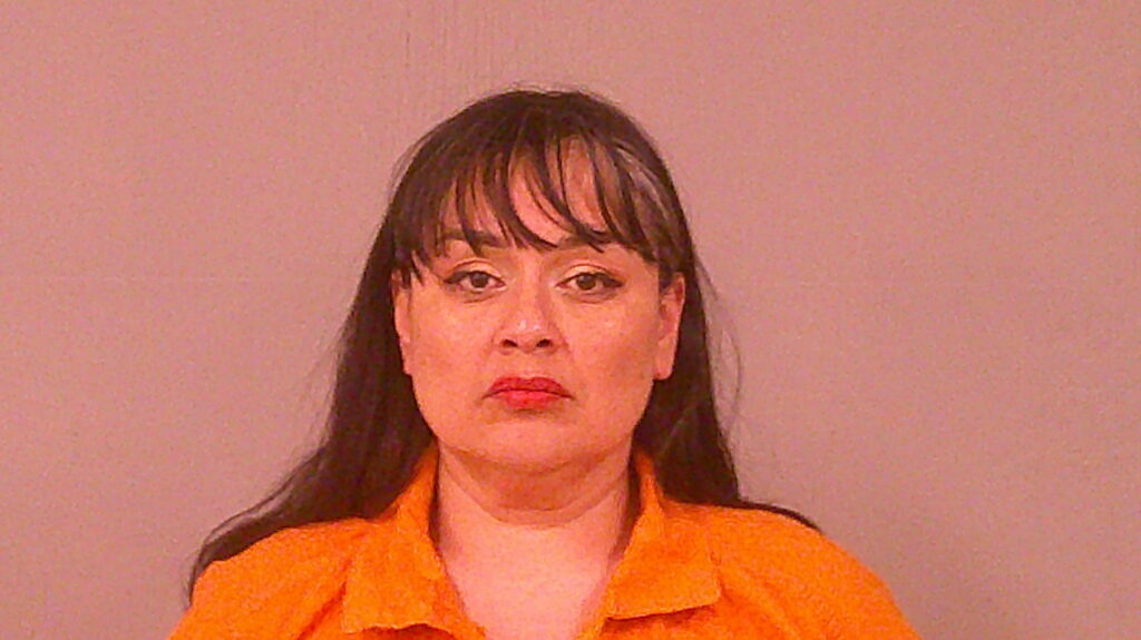 OZUNA, TERESA LYNN arrested in Burnet County, Texas mugshot