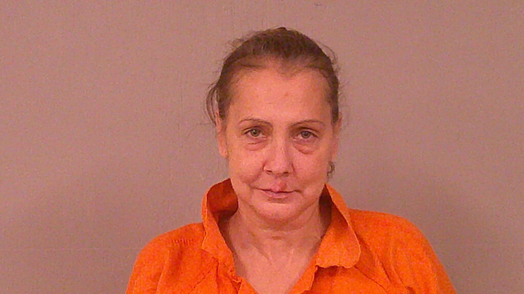 FRANKE, JAMI LEIGH arrested in Burnet County, Texas mugshot