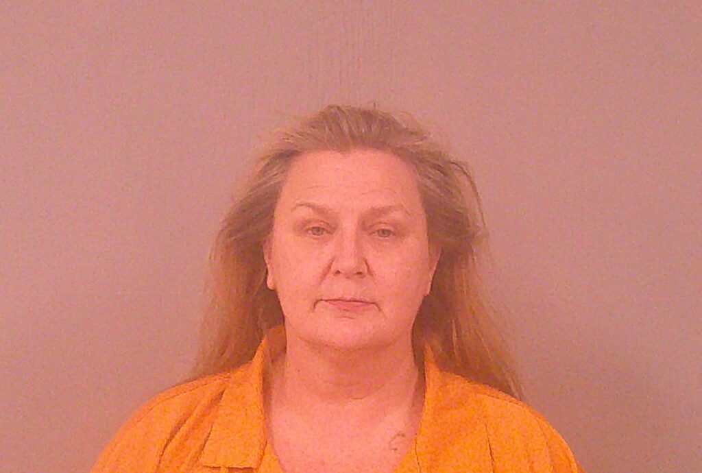 HEFLIN, DEANA LYNN arrested in Burnet County, Texas mugshot