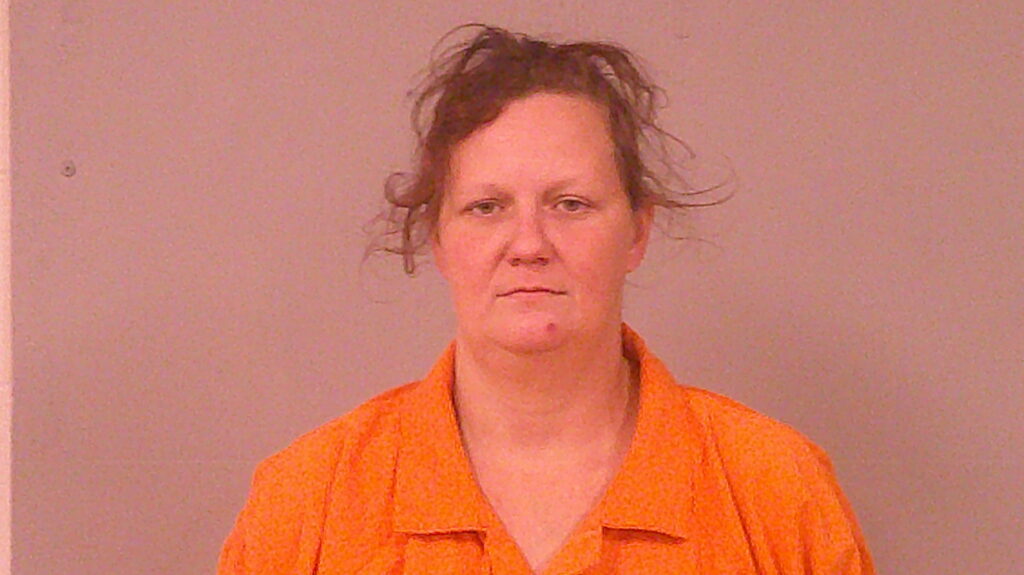 HARP, CATHERINE MARIE arrested in Burnet County, Texas mugshot