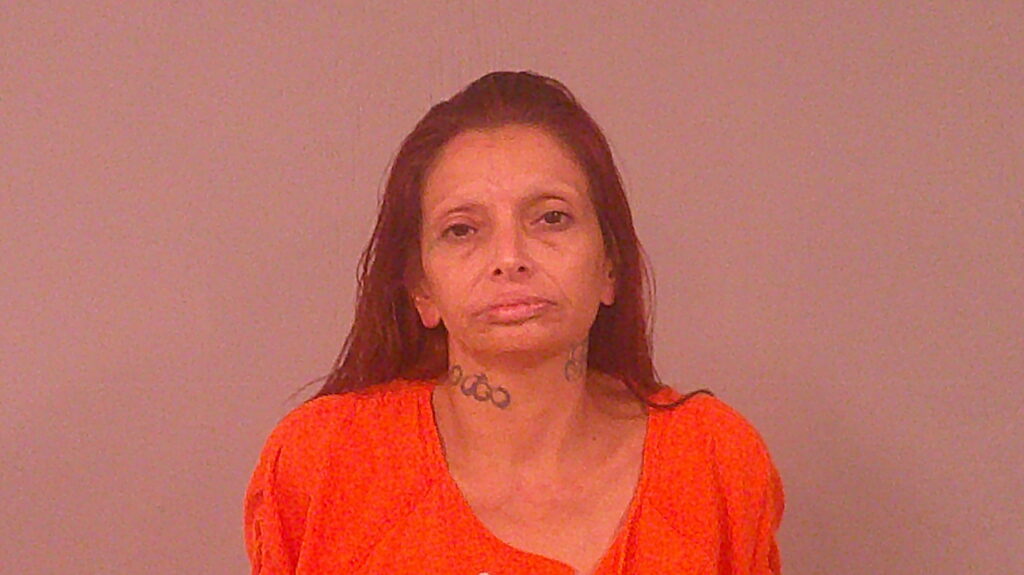 DIAZ, ELIZABETH arrested in Burnet County, Texas mugshot