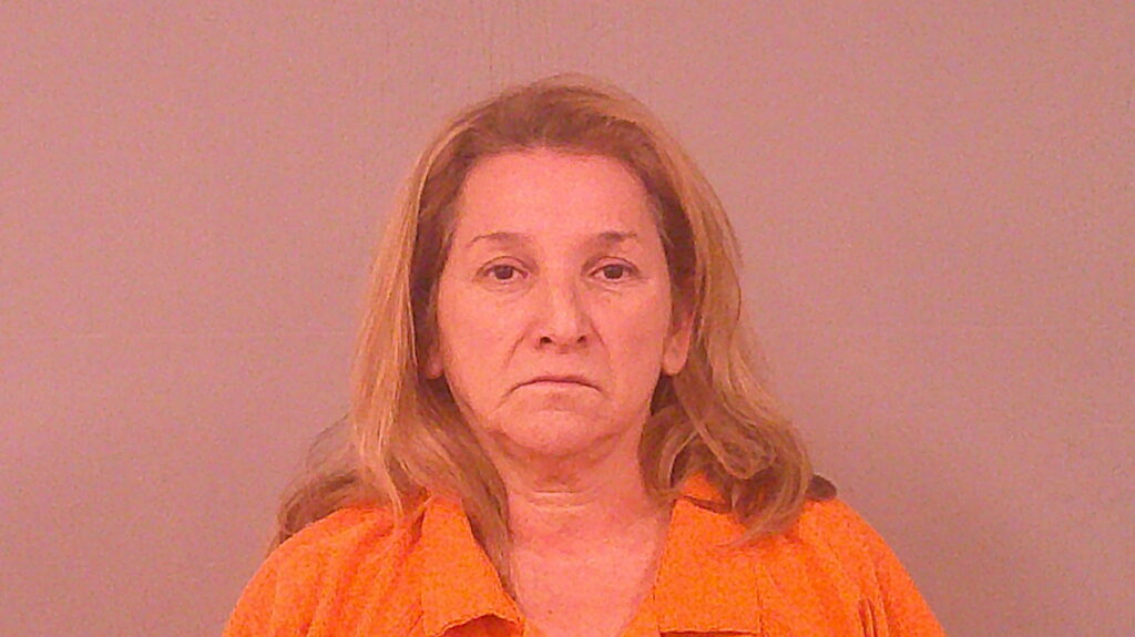 MOLINA, ELIZABETH OJEDA arrested in Burnet County, Texas mugshot