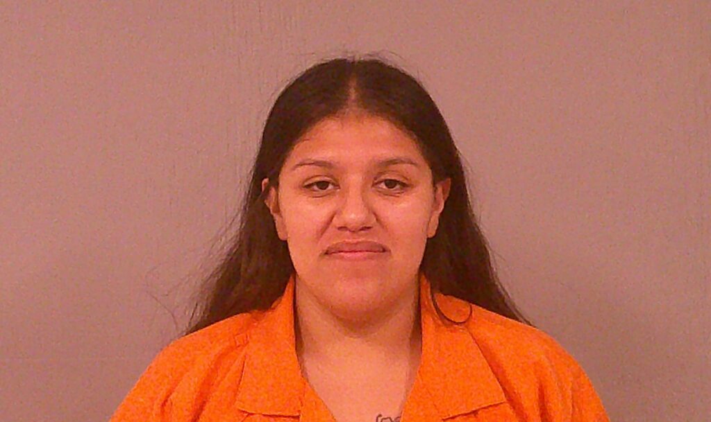 PRUESSE, LAURA KAYLAN arrested in Burnet County, Texas mugshot