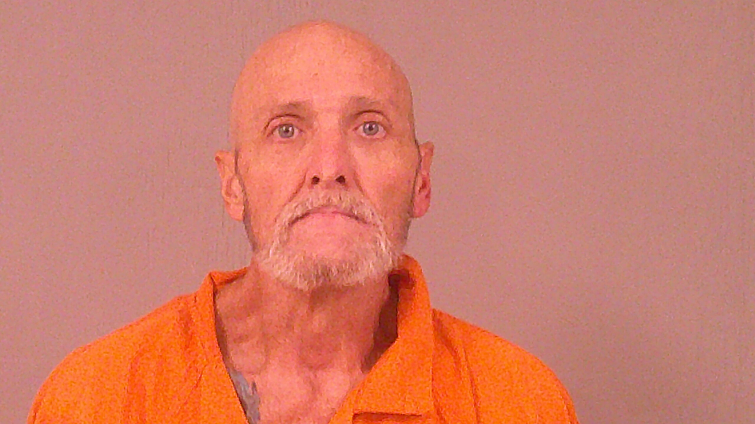 POWELL, DAVID ALLEN booking photo