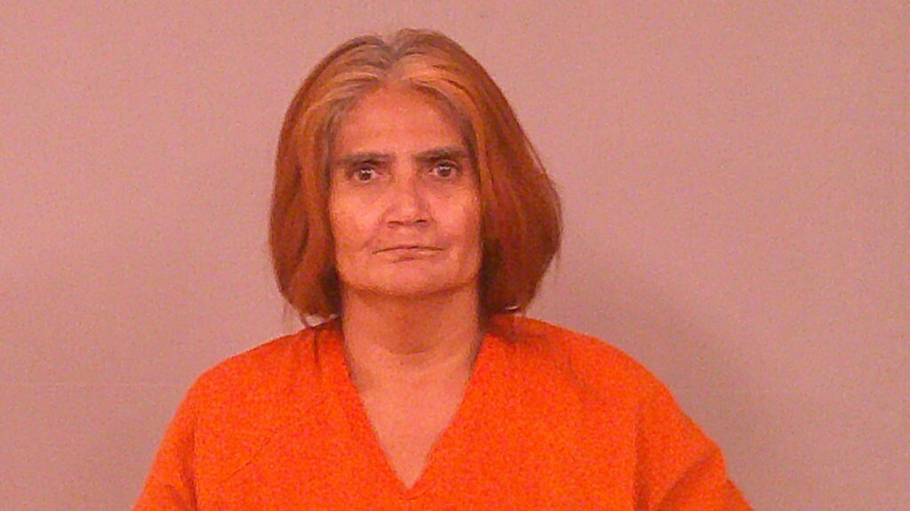 GOMEZ, NORMA JEAN arrested in Burnet County, Texas mugshot