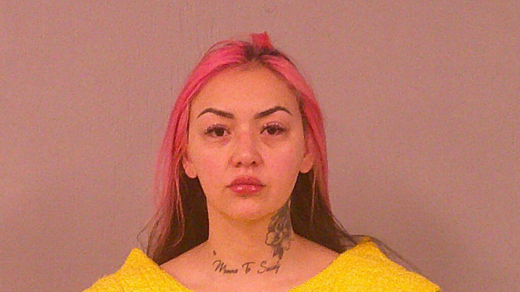 GIBSON, JORDAN MAHEALANI SAUJUN arrested in Burnet County, Texas mugshot
