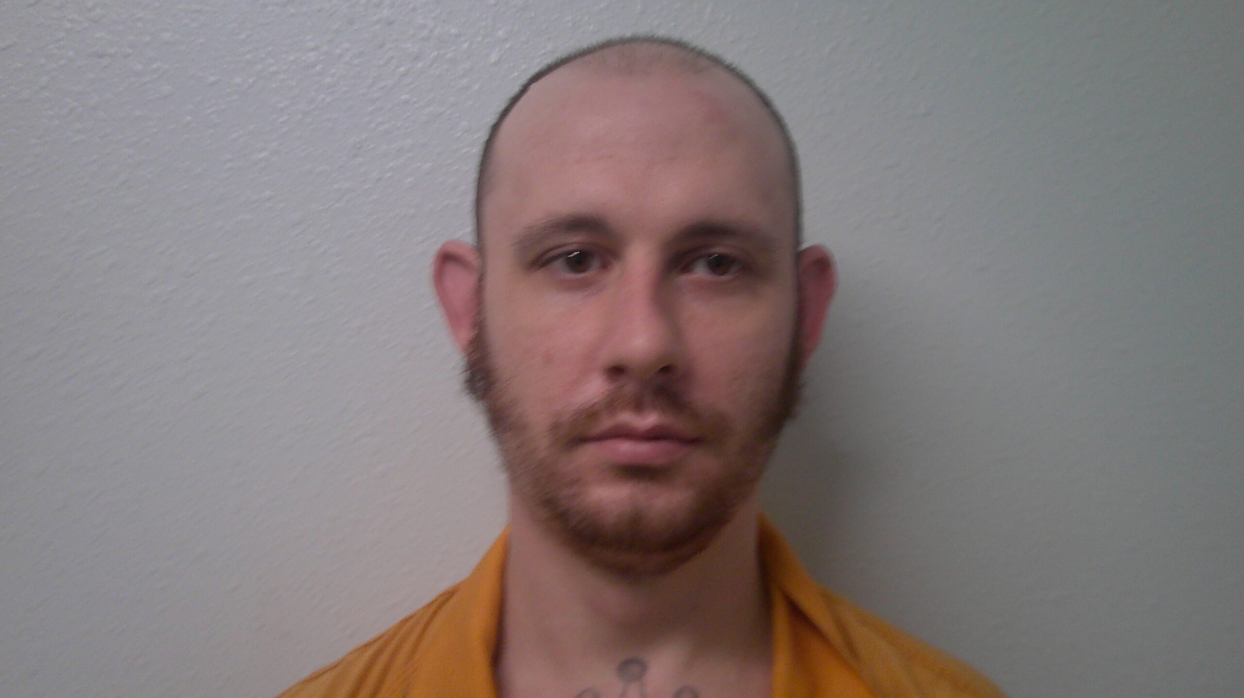 JACKSON, ANDREW HARLEY booking photo