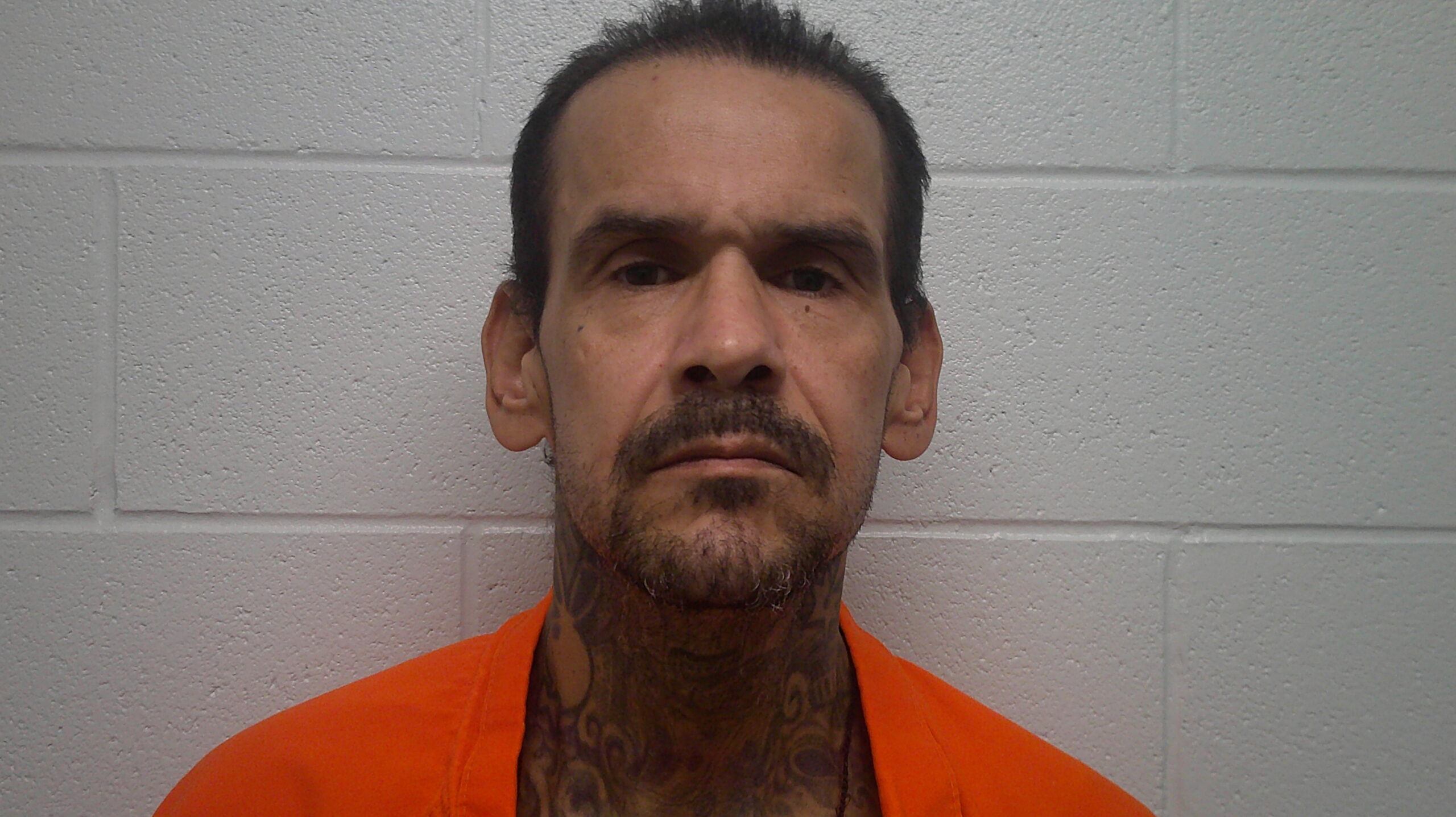 NAVARRO, MICHAEL LEO booking photo