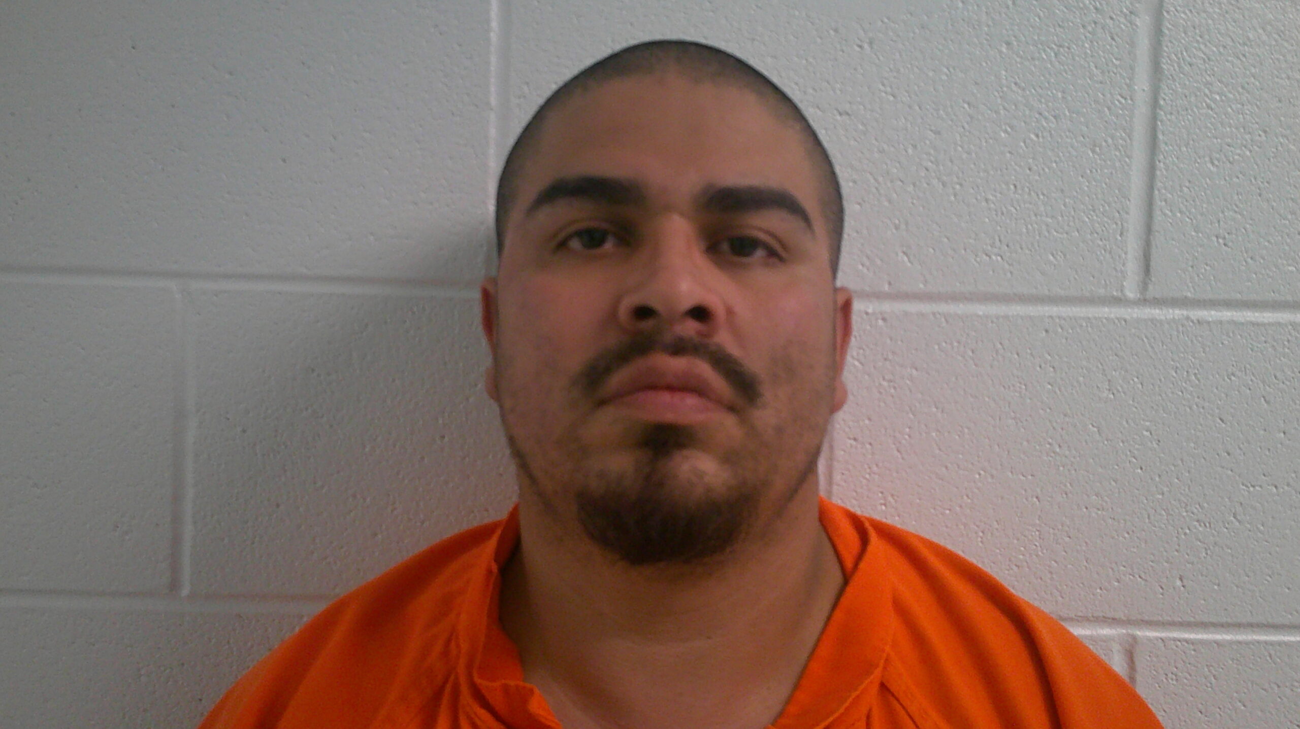 QUINTANILLA-ZEPEDA, DAVID RENE booking photo
