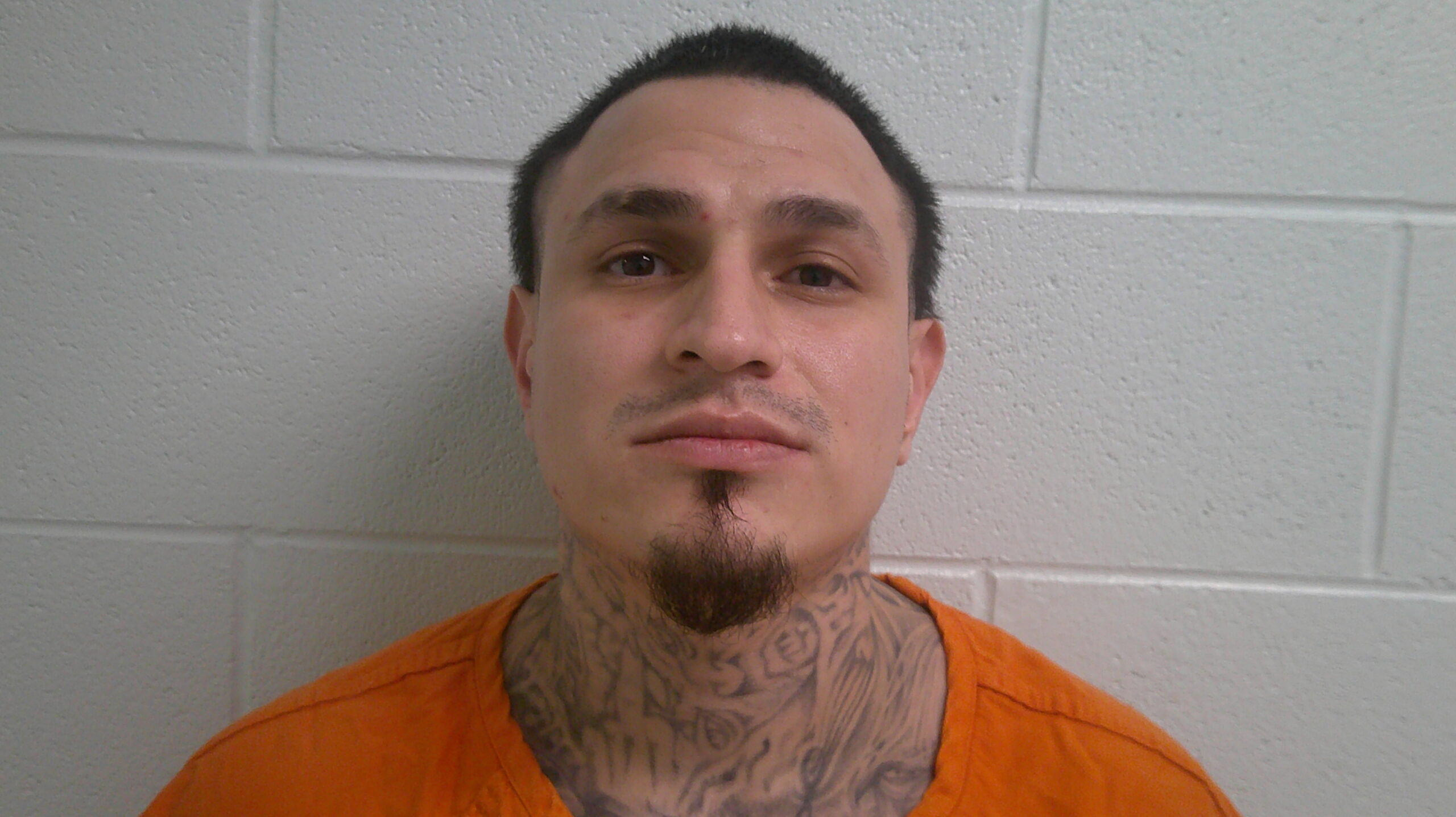 ROSALES, WILLIAM ANTONIO booking photo