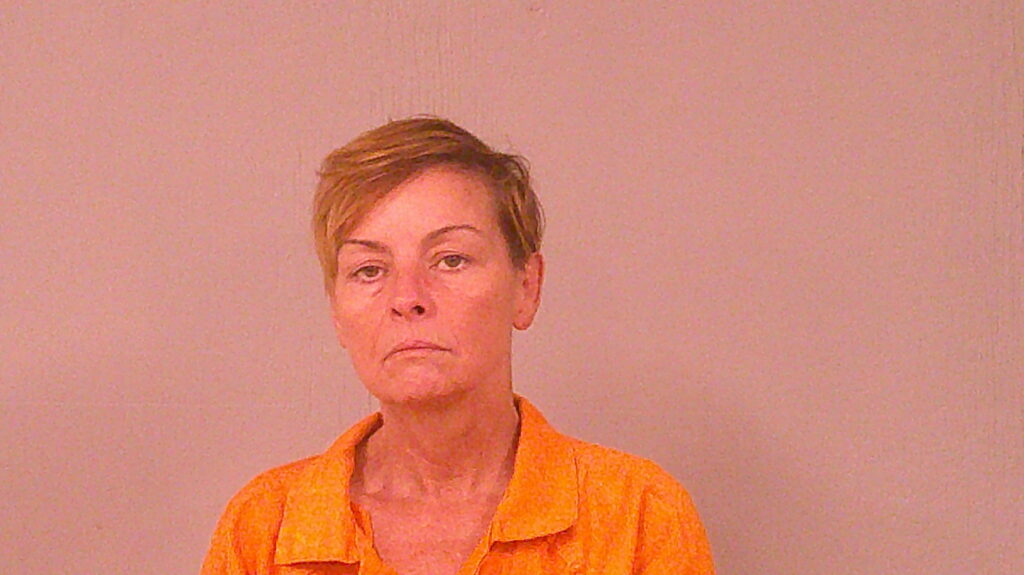 JOWERS, REBECCA FAY arrested in Burnet County, Texas mugshot