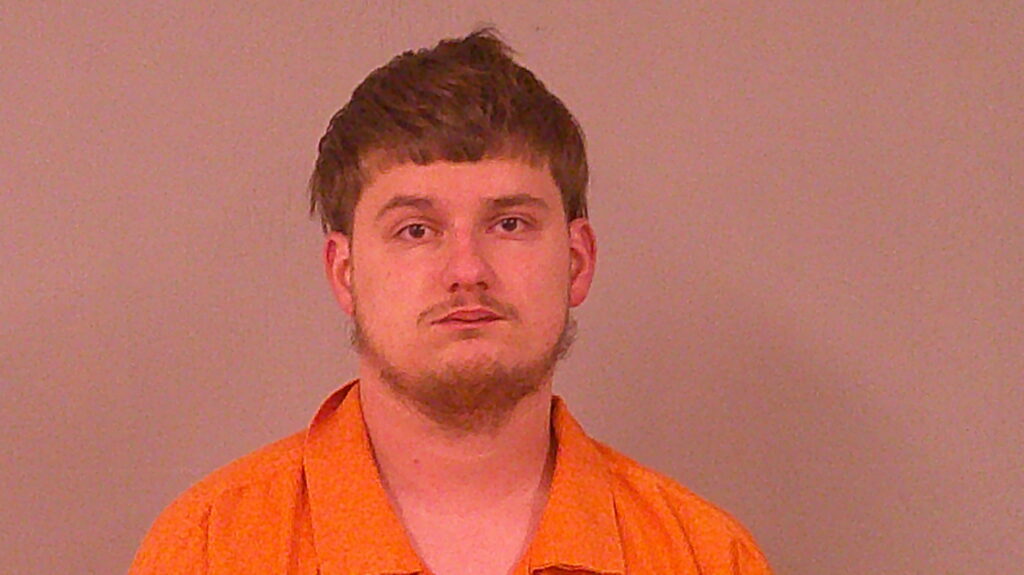 BULAT, NENAD arrested in Burnet County, Texas mugshot