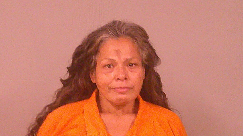 LERMA, ALICE MARIE booking photo
