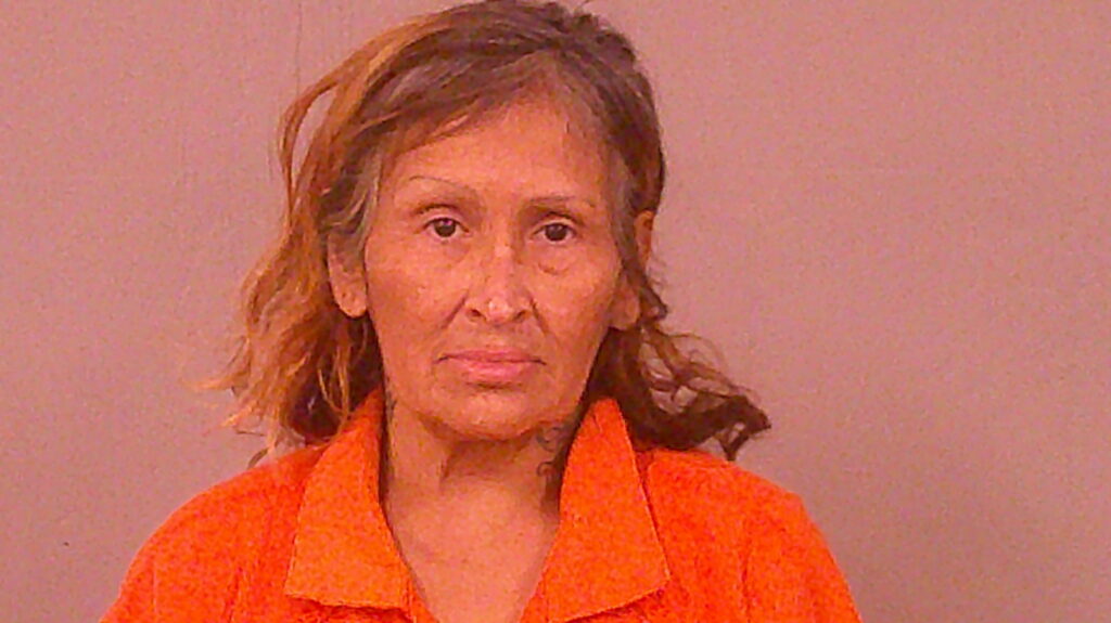 RODRIGUEZ, JO ANN booking photo