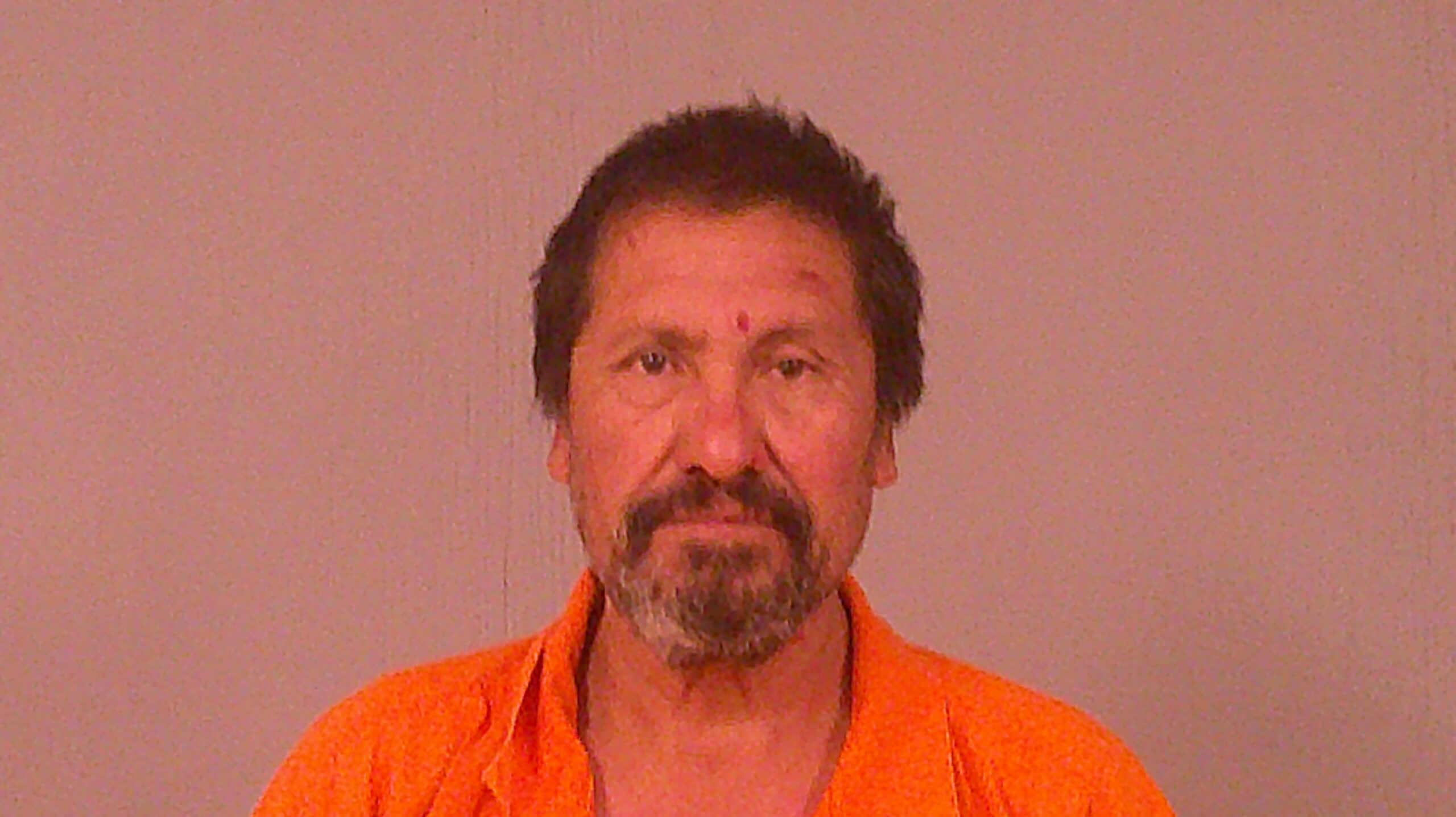 RAYA, RICARDO MEJIA booking photo