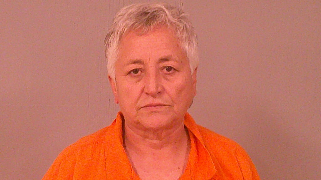 SALINAS, NORMA booking photo