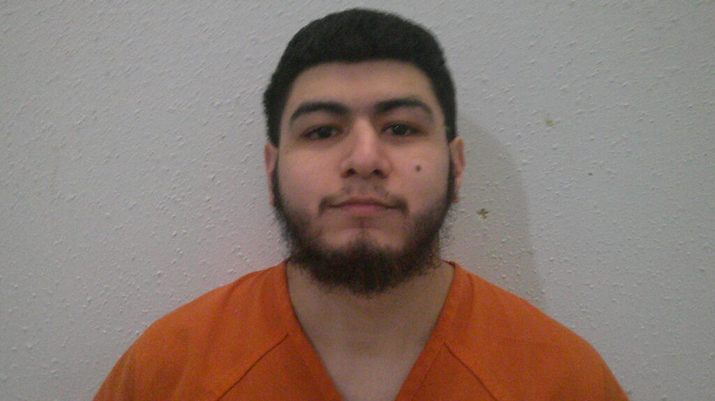 BORREGO, NATHEN C booking photo