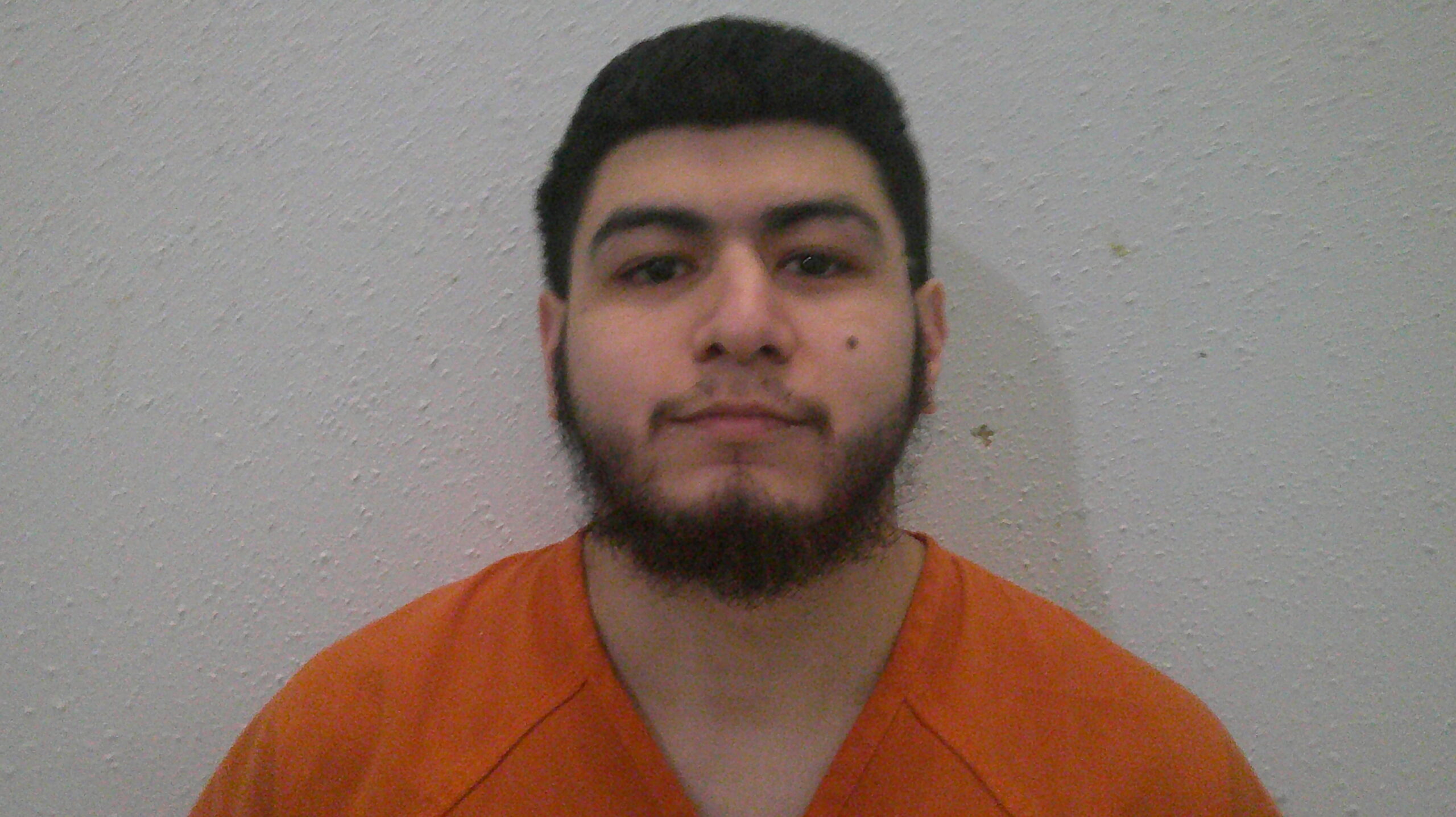 BORREGO, NATHEN C booking photo