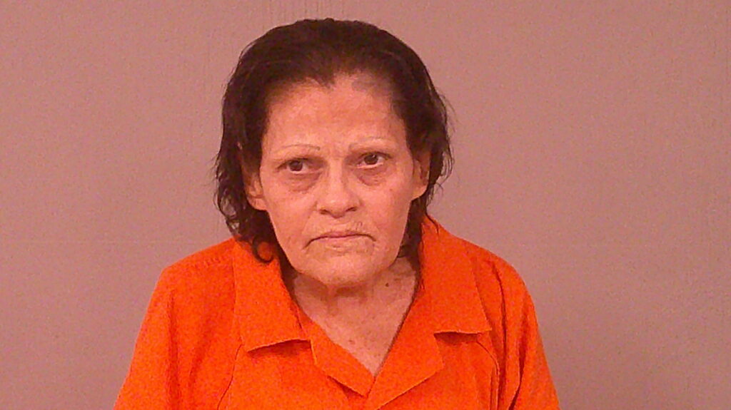 WESTFALL, JANINE ALLISON booking photo