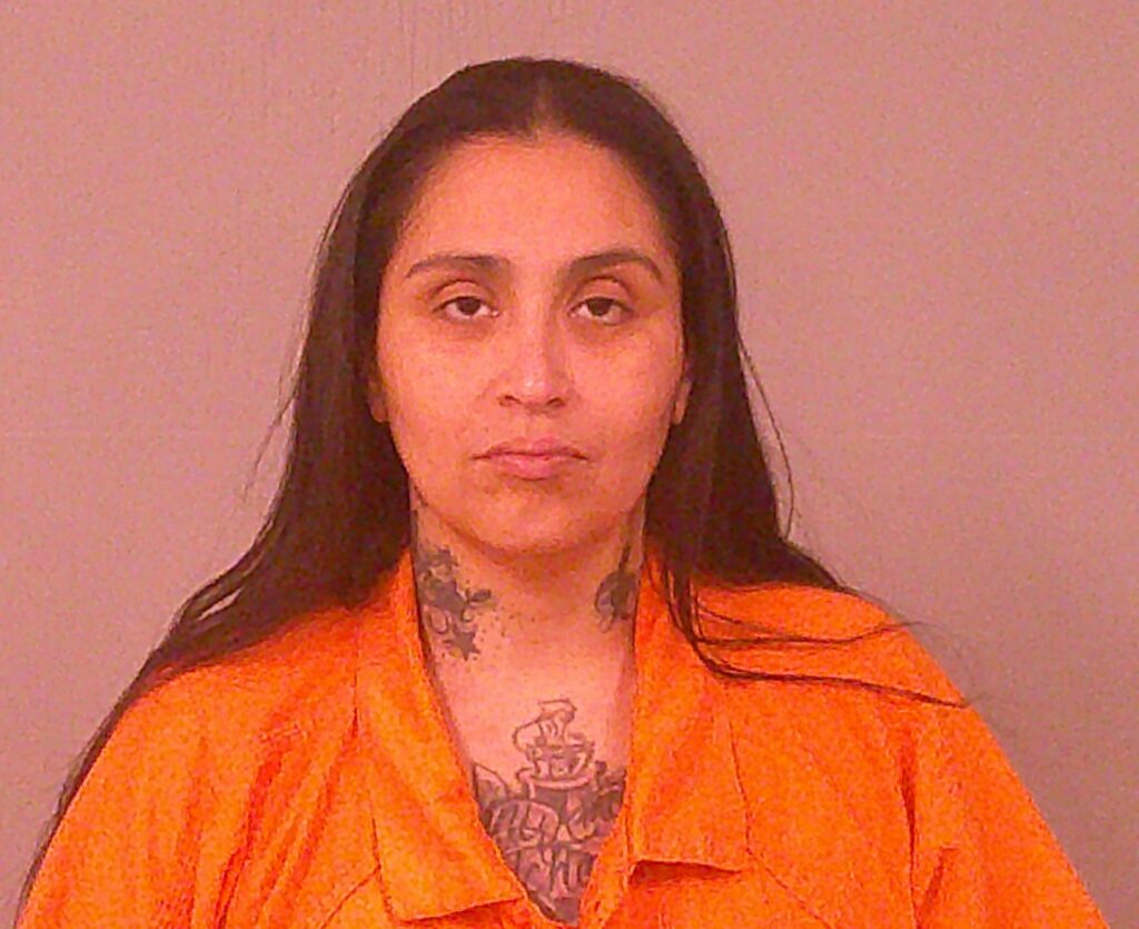 GARZA, ROXANNE MARIE booking photo