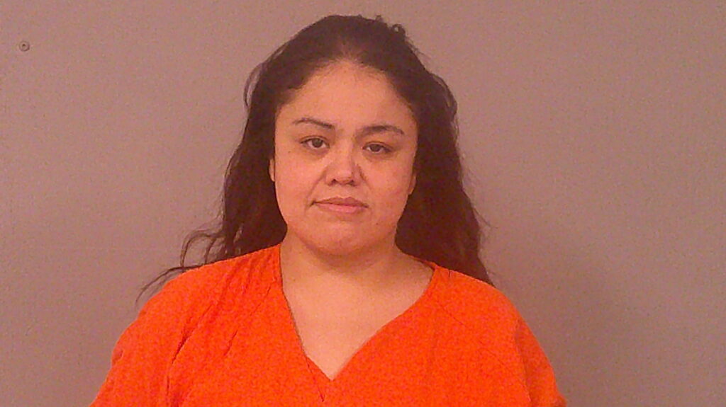 LIRA, OLGA VANESSA booking photo