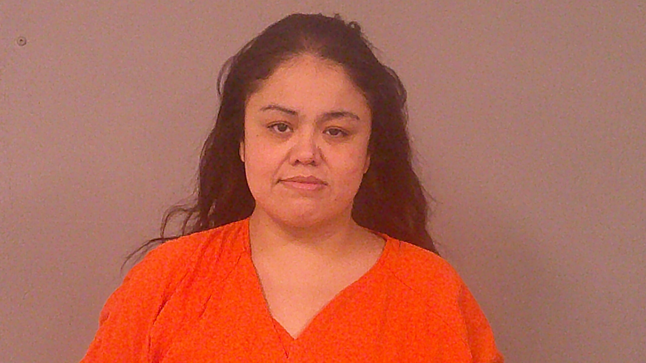 LIRA, OLGA VANESSA booking photo