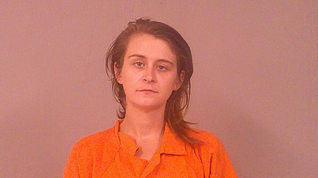 MCINTYRE, ALEXANDRIA NICOLE booking photo