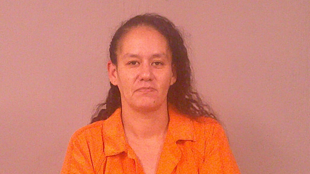PEREZ, ANGELA booking photo