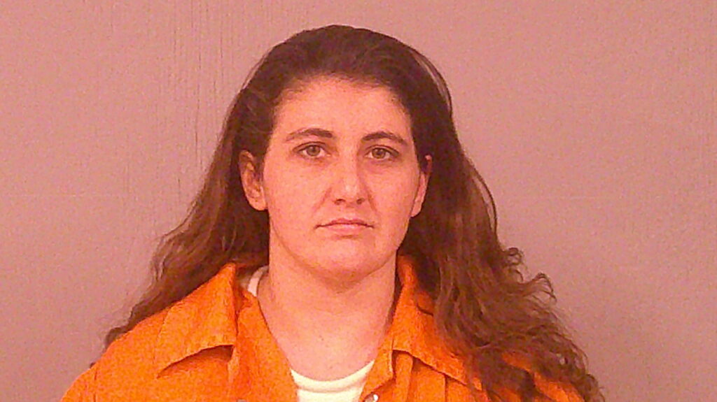 NOWELS, TABITHA LYNN booking photo