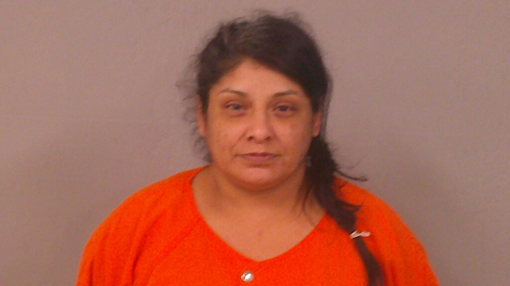DIAZ, CELESTE MARIE booking photo