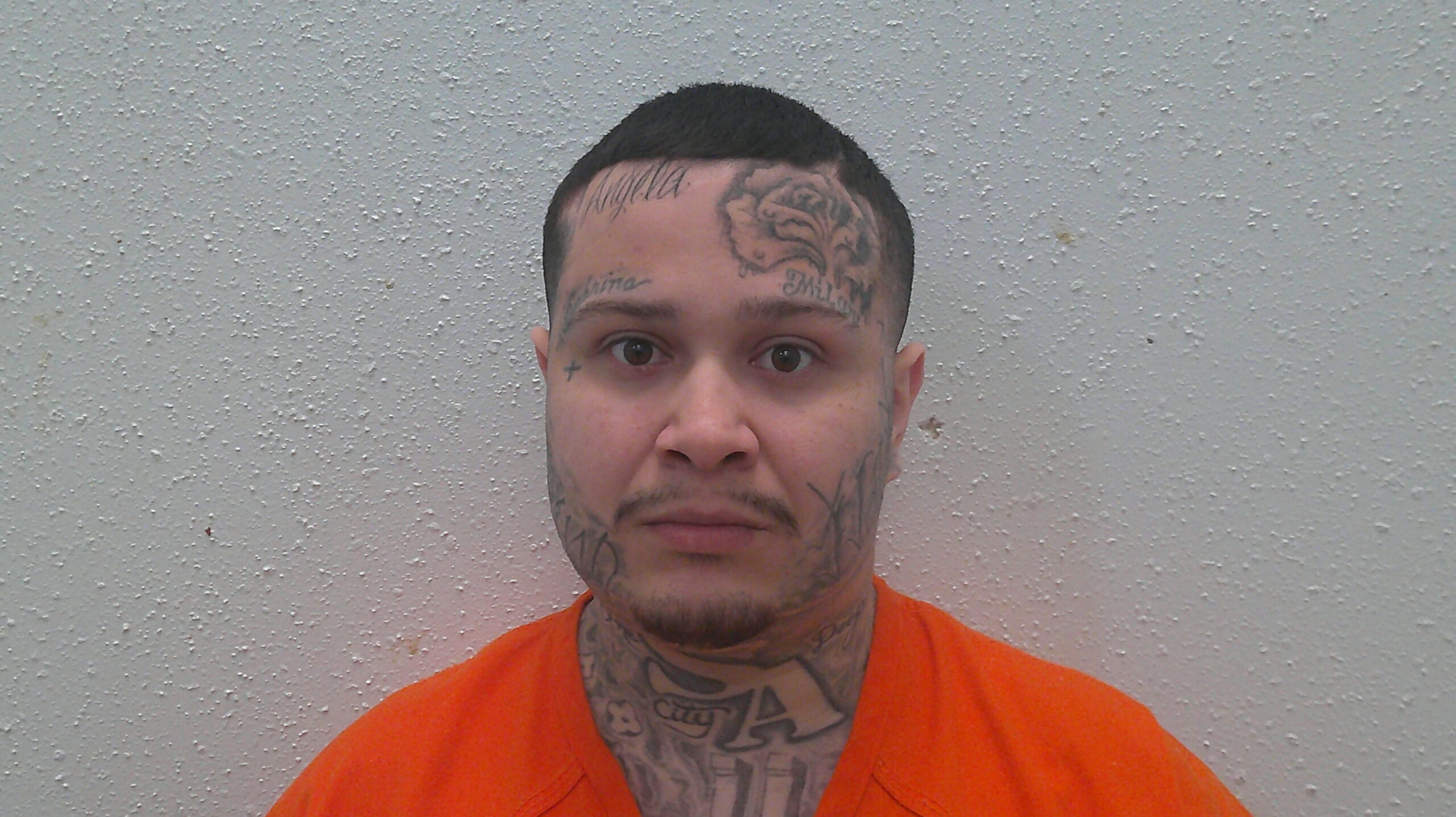 RICO, XAVIER MARTIN booking photo