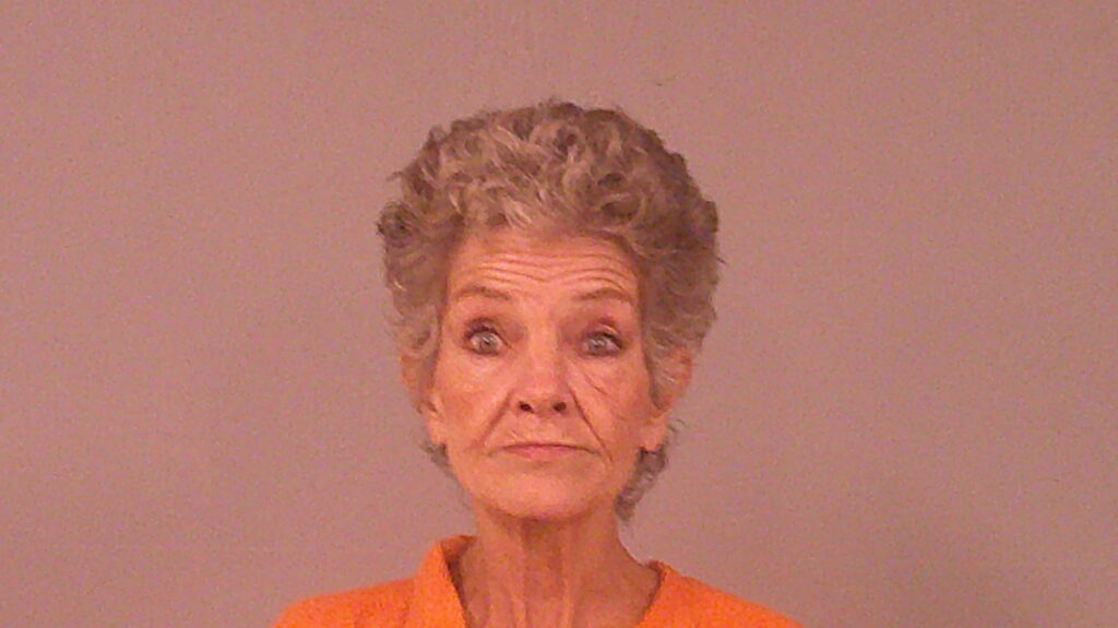 FINE, ROBIN REANEA booking photo