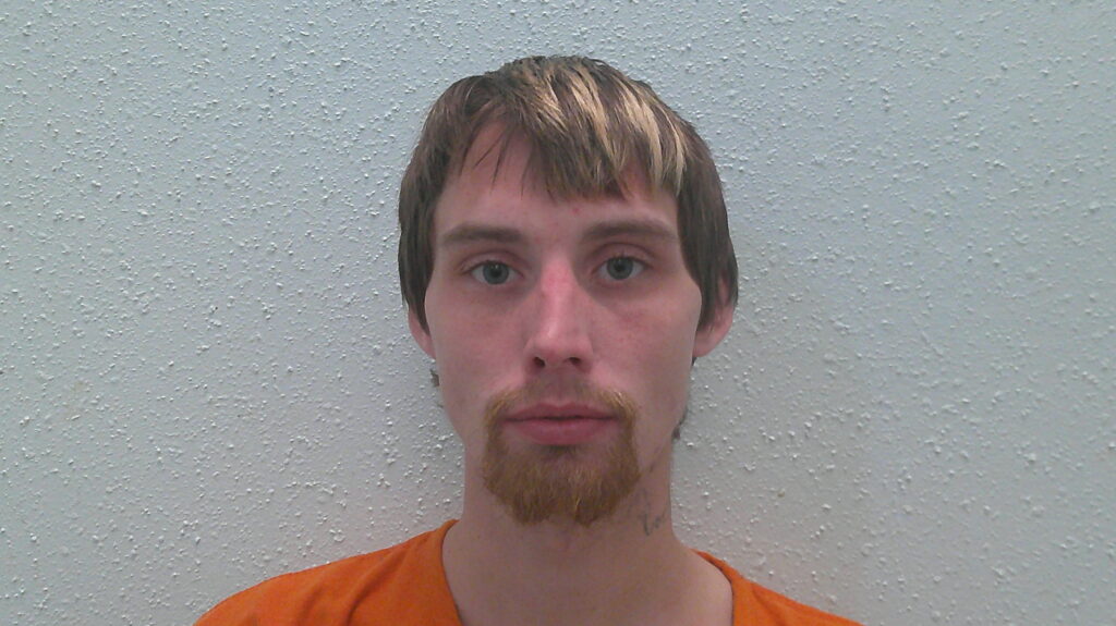 LEWIS, MARK DANIEL booking photo