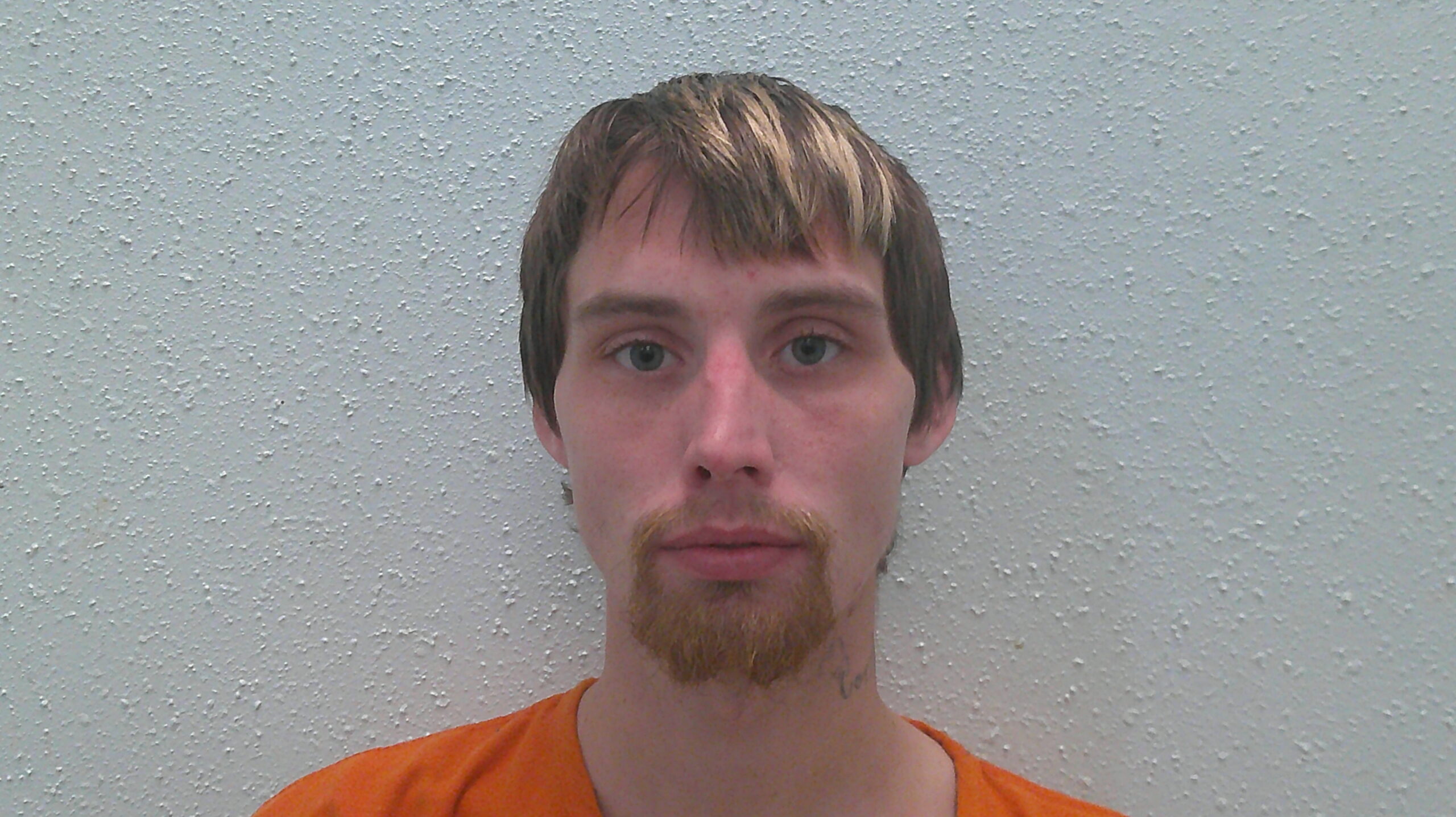 LEWIS, MARK DANIEL booking photo