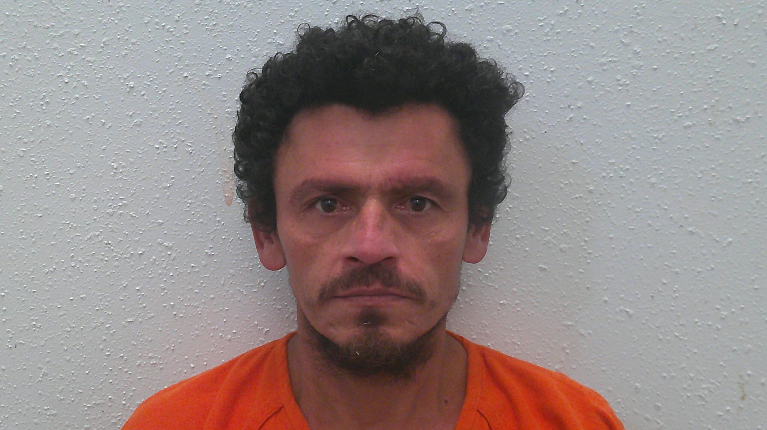 ALFARO, FRANCISCO ANTONIO booking photo