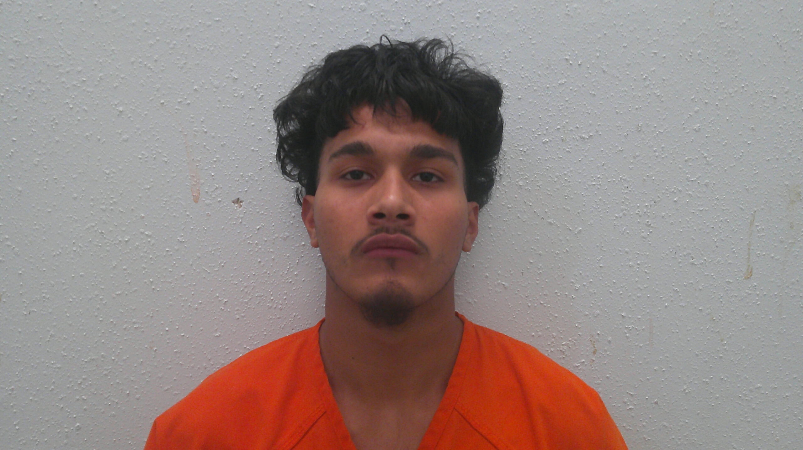 PAPELL, RANDY STEVEN booking photo