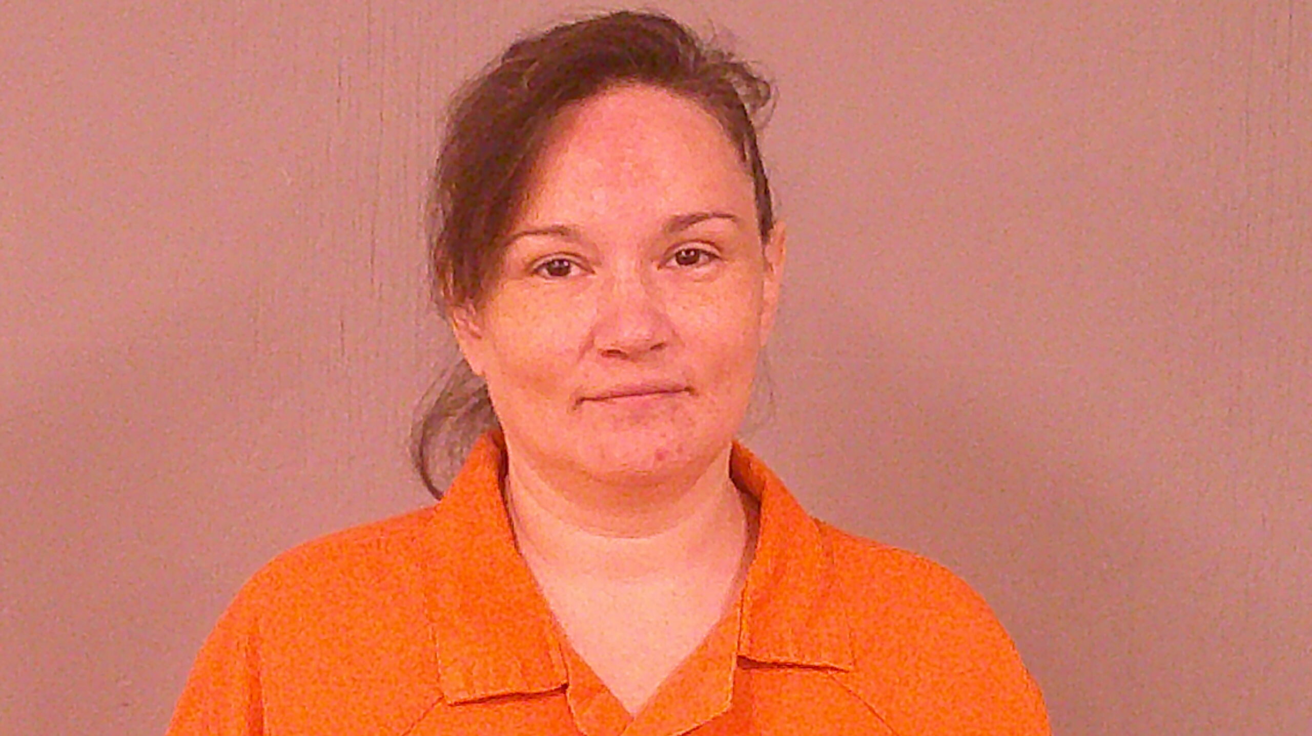 WEBSTER, ANDREA booking photo