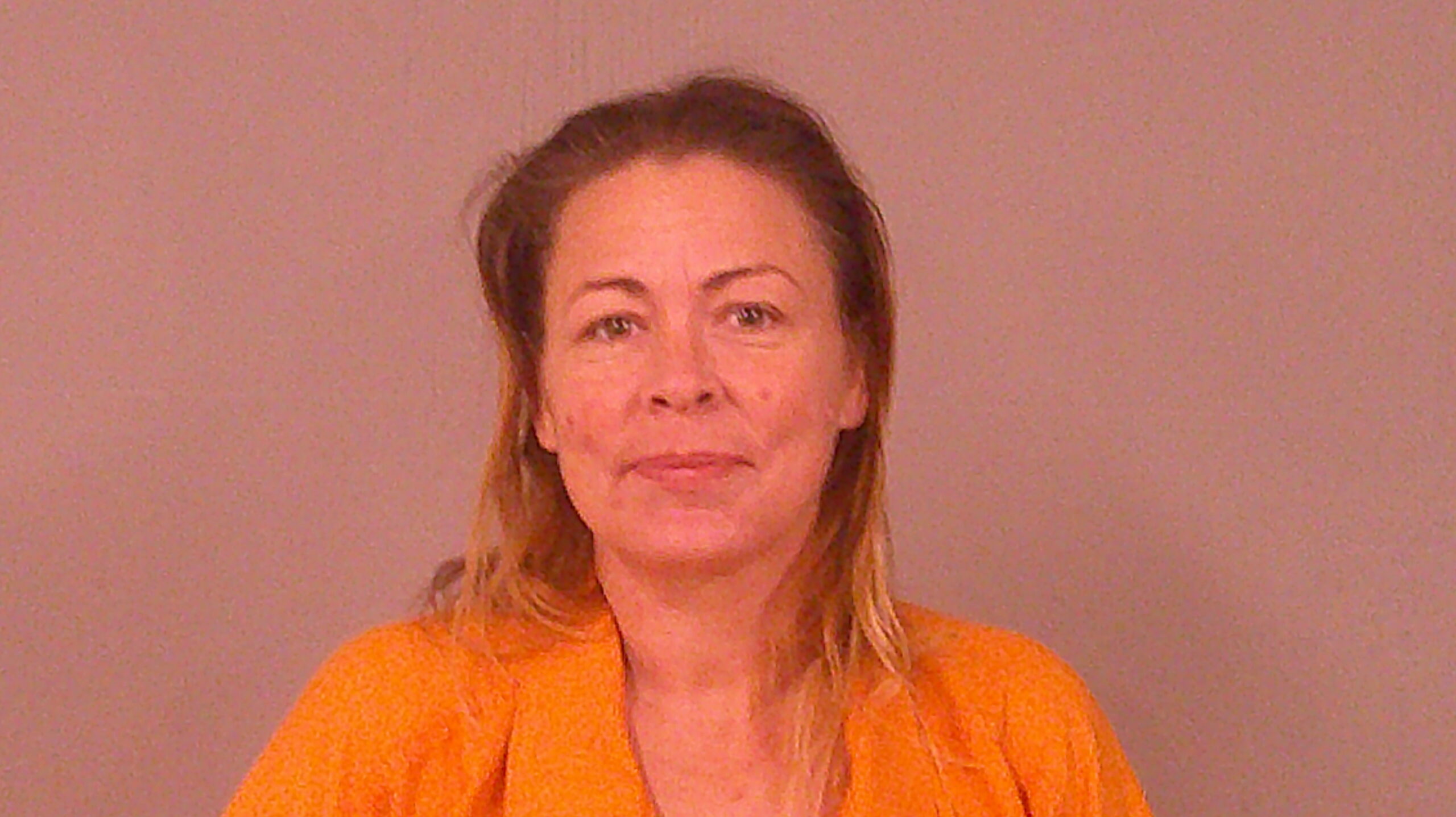 DACY, AMY MICHELLE booking photo