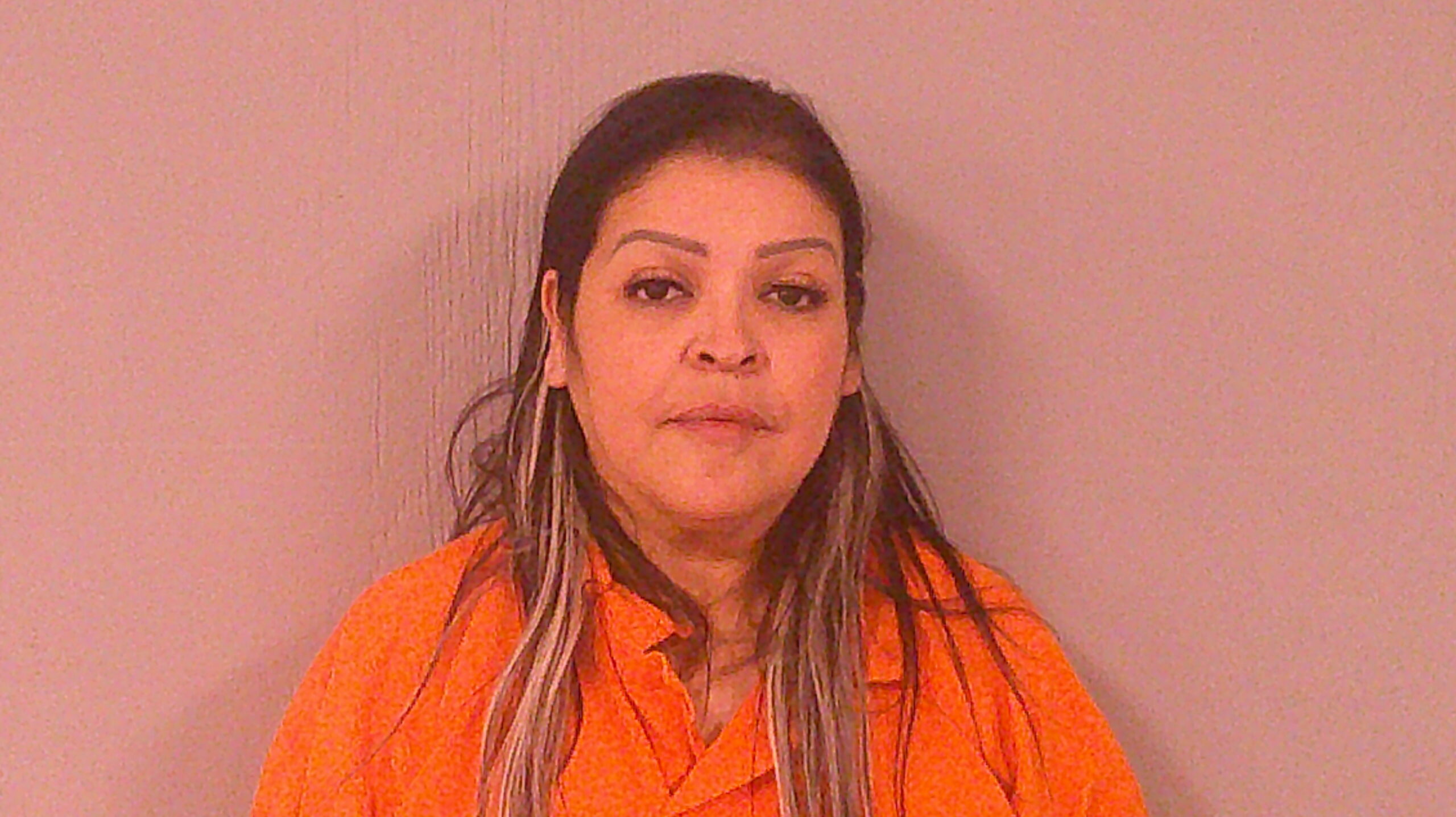 RANGEL, ELSA RODRIGUEZ booking photo