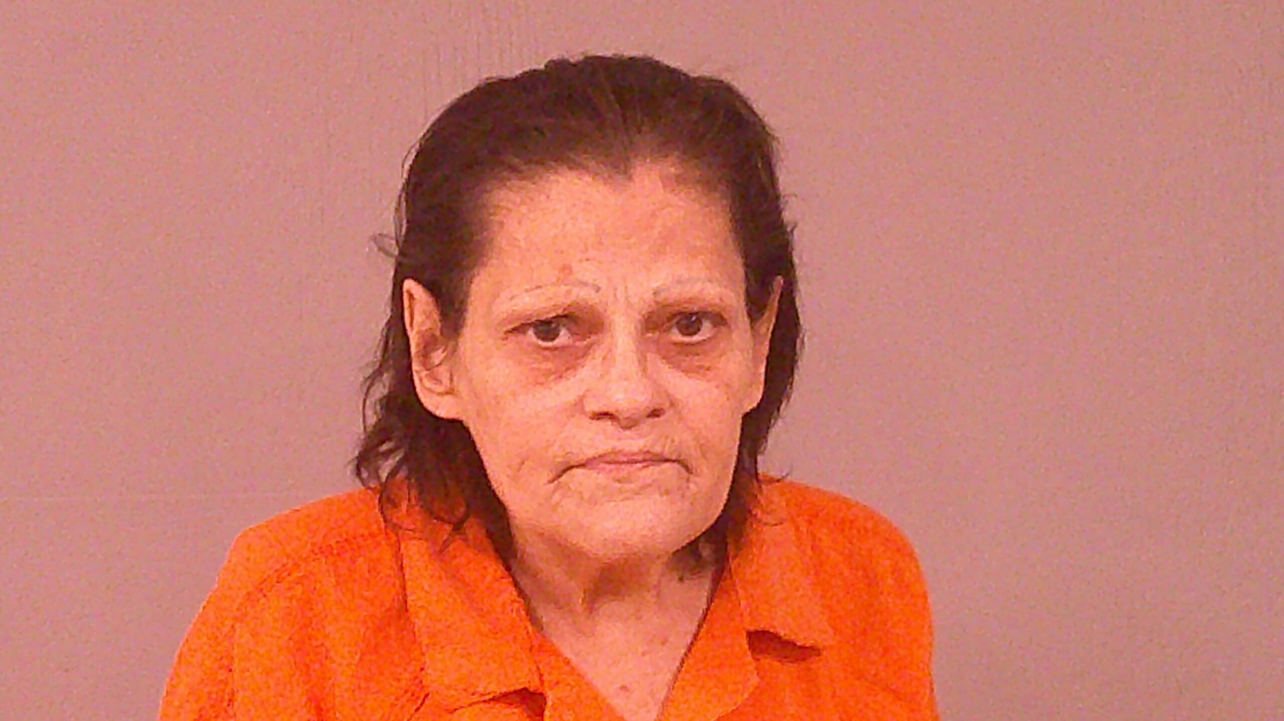 WESTFALL, JANINE ALLISON booking photo