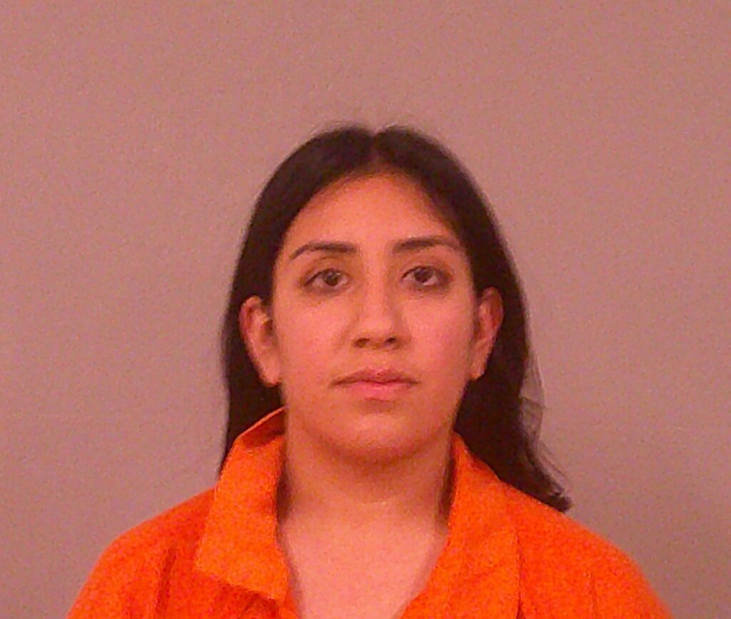 GIL, LUCIA booking photo