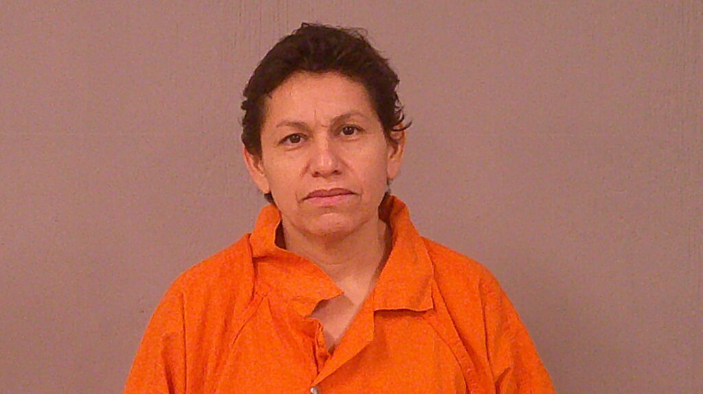 MARTINEZ-BRICENO, SUSANA booking photo