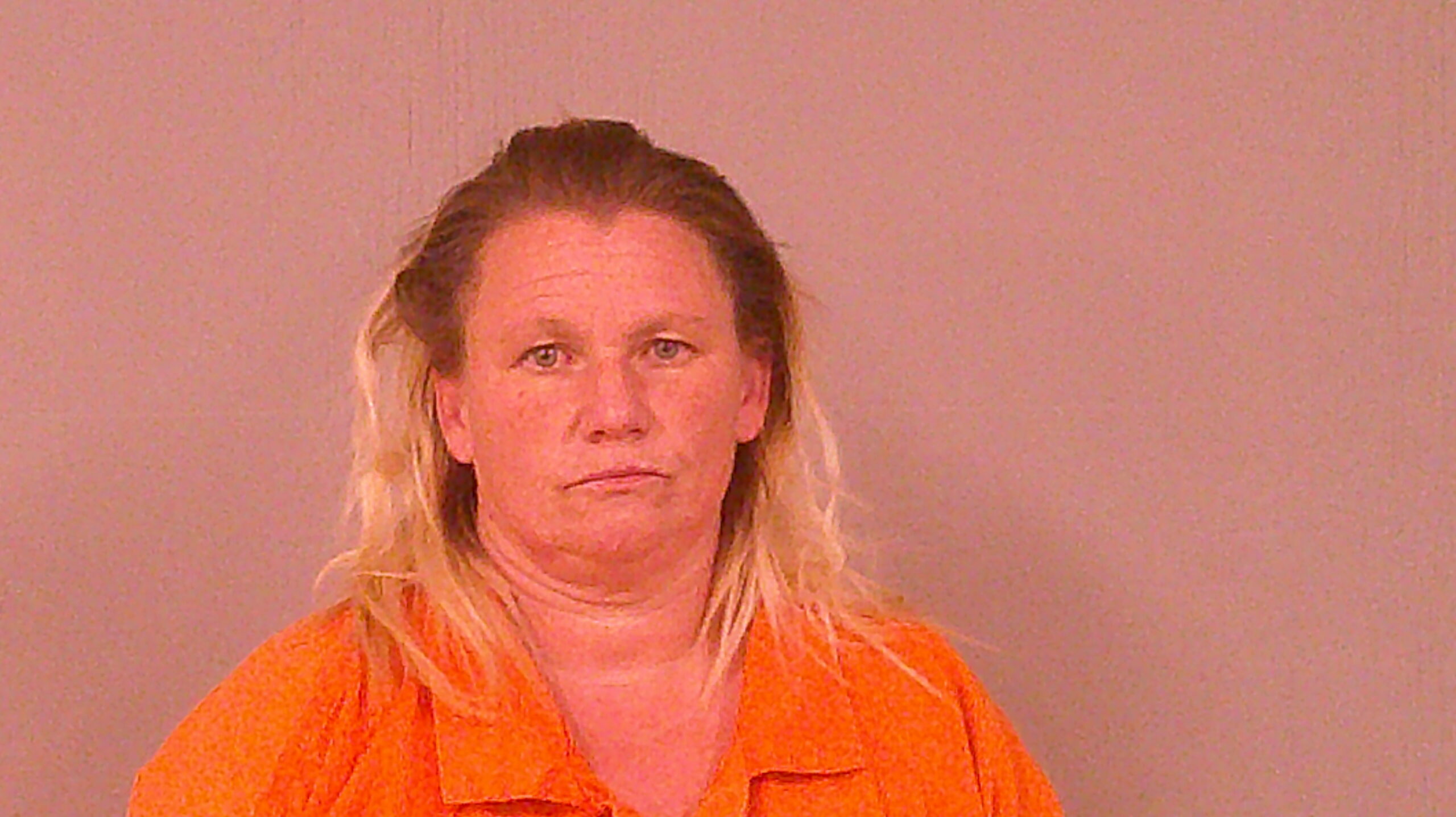 ADKINS, BRANDIE NICOLE booking photo