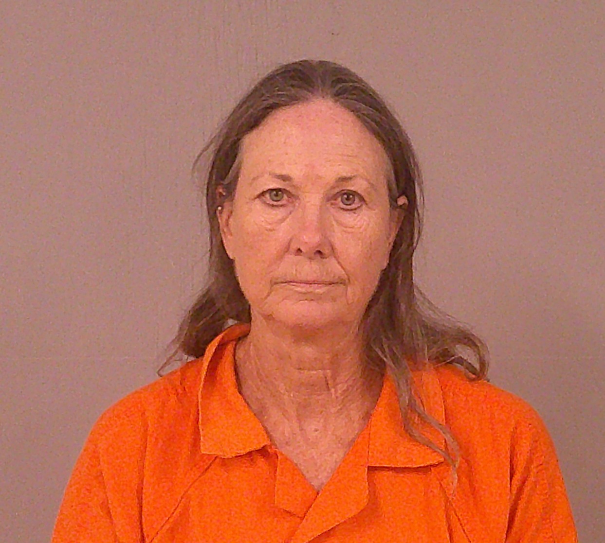 NELSON, NANCY ELLEN booking photo