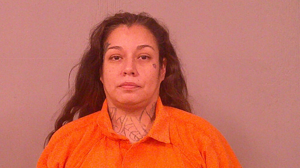 MADRID, ELIZABETH arrest record in Burnet County, Texas MADRID, ELIZABETH arrested in Burnet County, Texas mugshot