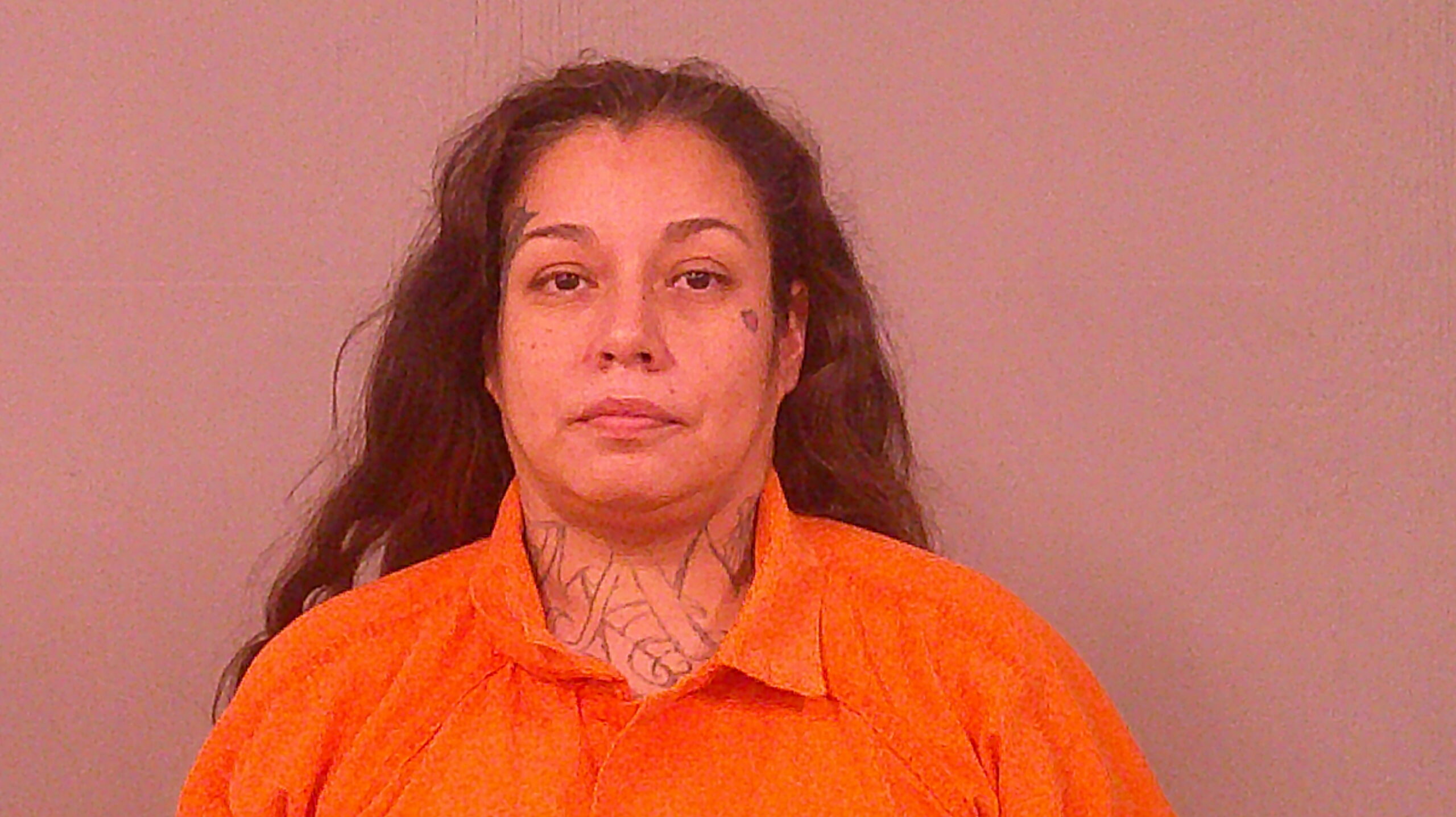 MADRID, ELIZABETH booking photo