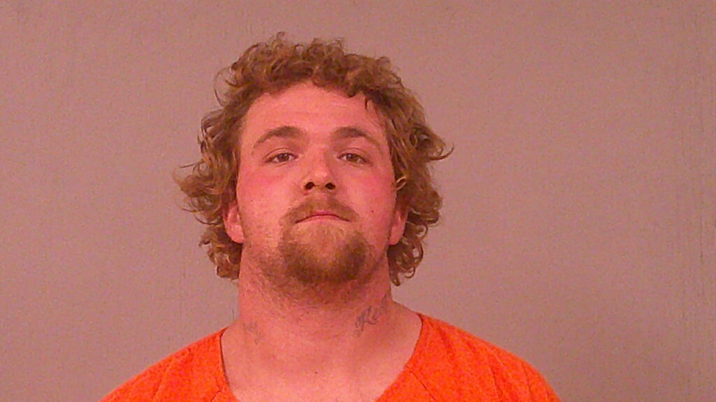 DEFELICE, ROBERT LOUIS arrested in Burnet County, Texas mugshot